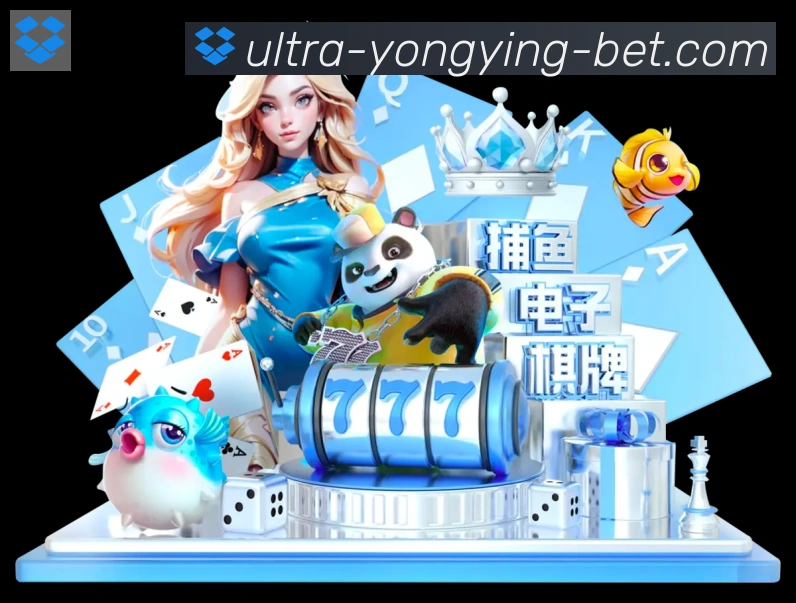 奖项证书